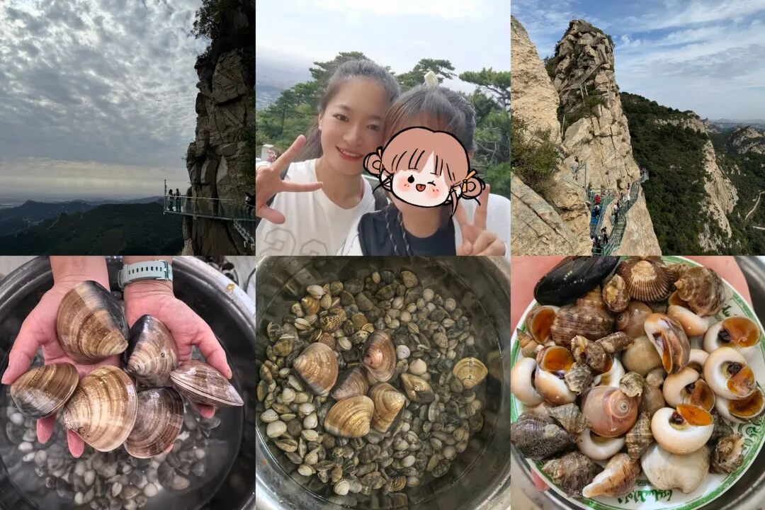 翻身就选互联网，新手只做一件事，听话照做拿结果