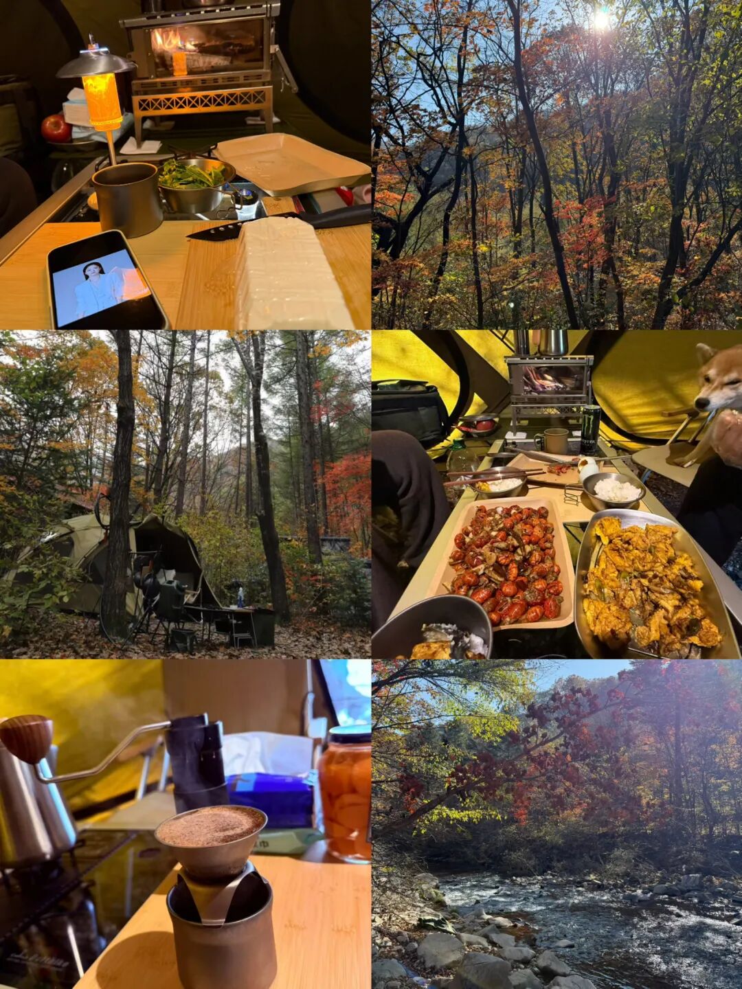 七天挣了958，想赚钱死磕3个互联网项目，再也不用满平台找，不做韭菜！